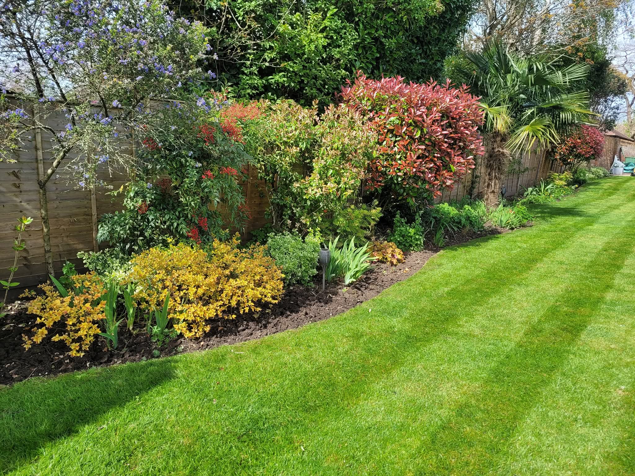Lawn treatments with beautiful flower borders