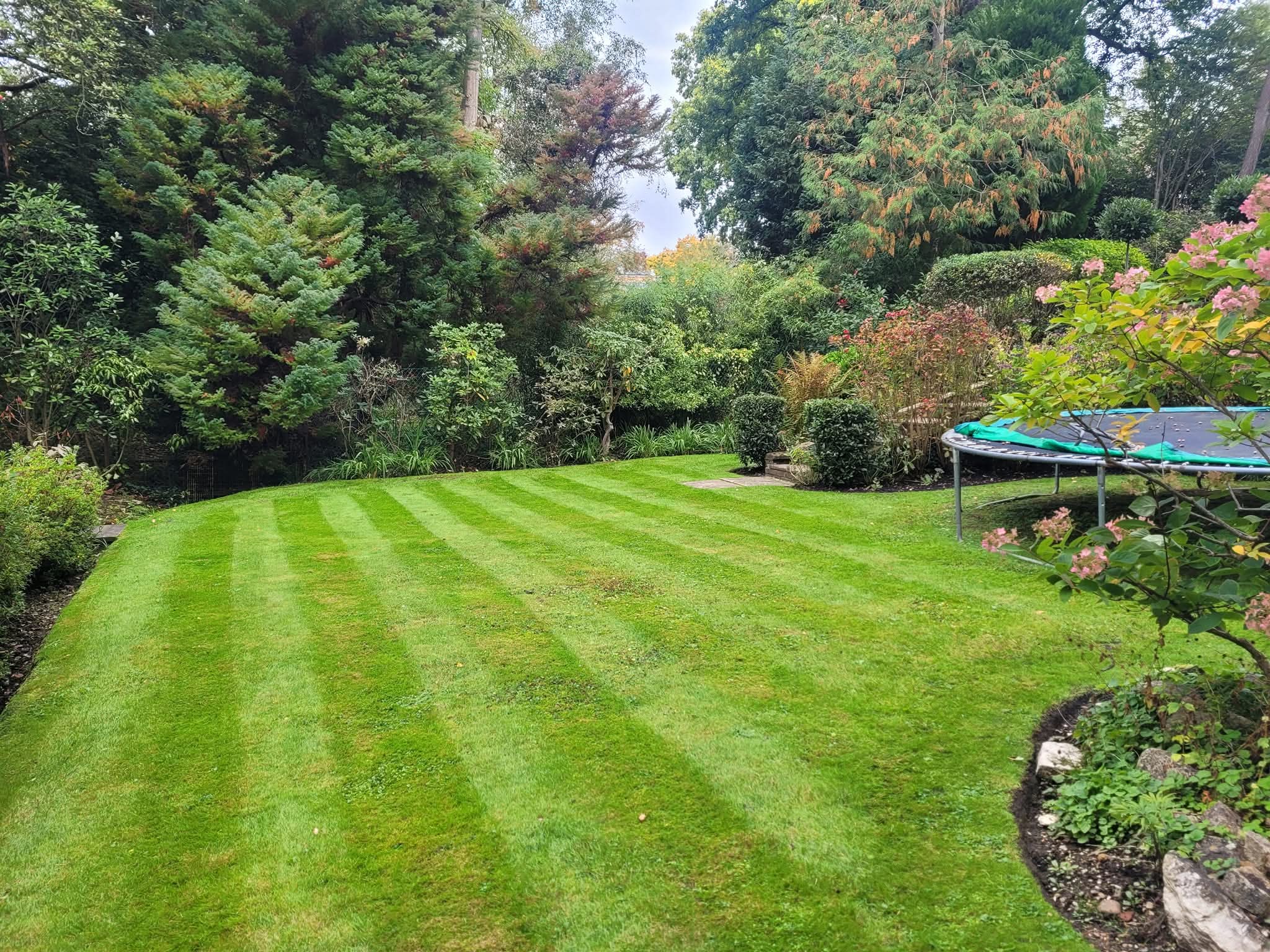 Premium garden maintenance with beautiful lawn and landscaping