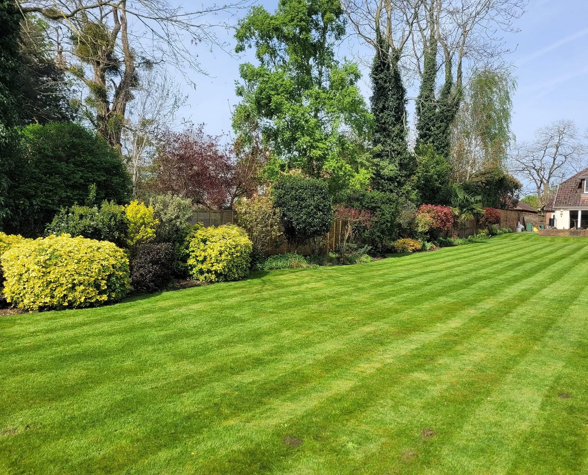 Regular Garden Maintenance